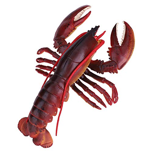 Langosta de simulación, langosta de plástico duradero, seguro con(Dark-Australian Lobster, 23cm)