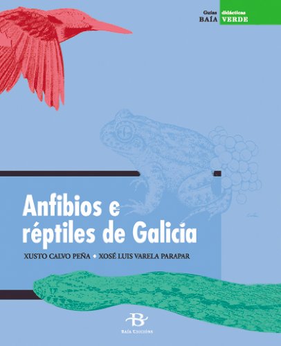 Anfibios e réptiles de Galicia (+ 36 diapositivas) (Baía Verde)